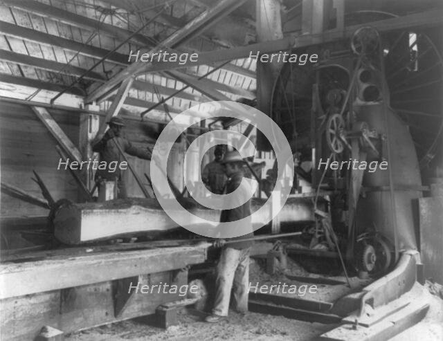 Three young black men working in lumber mill at Hampton Institute, Hampton, Va., 1899 or 1900. Creator: Frances Benjamin Johnston.
