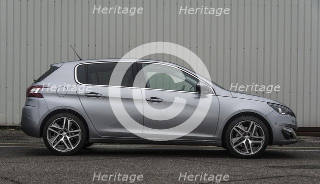 2014 Peugeot 308 THP 156 Feline Artist: Unknown.