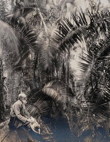 Zimbabwe: a member of the British Association sitting in a palm ravine, 1905. Creator: Geoffrey L Parsons.
