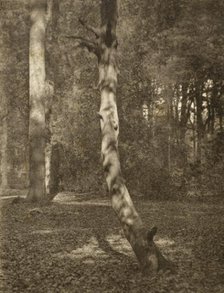 In Deerleap Woods, Printed 1900 circa. Creator: Frederick Henry Evans.
