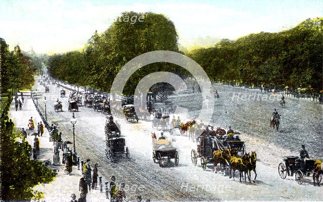 Rotten Row, Hyde Park, London, 20th Century. Artist: Unknown