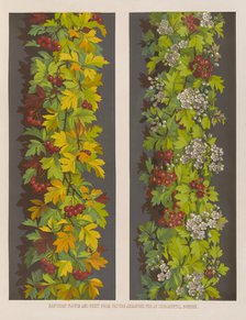 Hawthorn flower and fruit from Nature arranged for an ornamental border, 1850.  Creator: Ludwig Gruner.