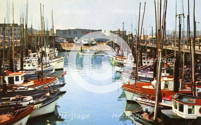 Fishing boats at Fisherman's Wharf, San Francisco, California, USA, 1957. Artist: Unknown
