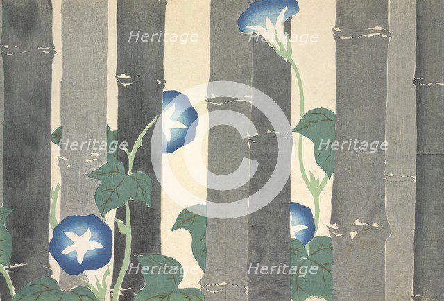 Asagao, from Momoyo-gusa (The World of Things) Vol I, pub.1909 (colour block woodcut)