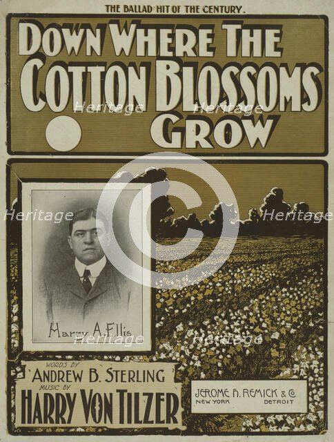 'Down where the cotton blossoms grow', 1901.  Creator: Unknown.