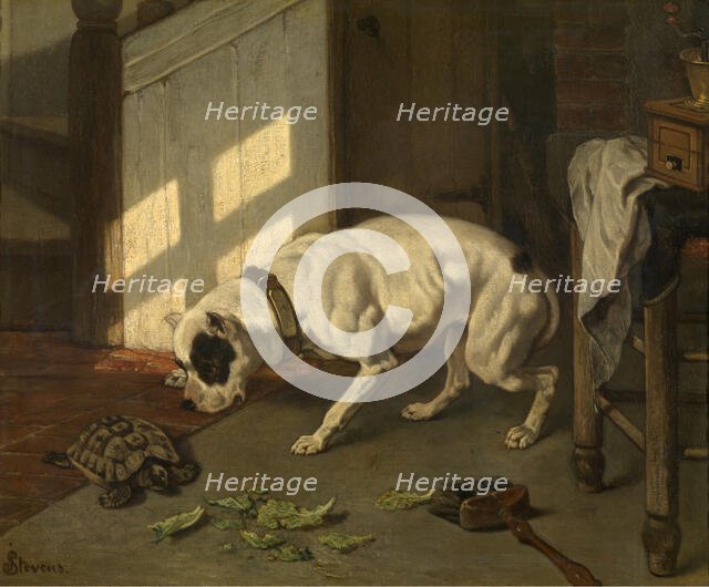 Dog with Tortoise, c1840-1890. Creator: Joseph Stevens.