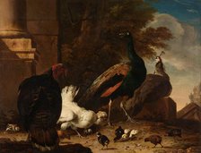 A Hen with Peacocks and a Turkey, c.1680. Creator: Melchior d'Hondecoeter.