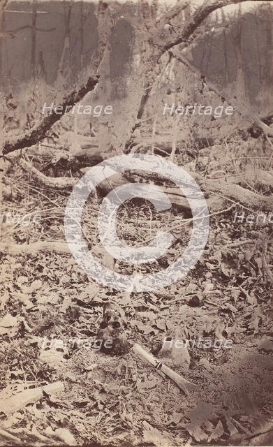 The Wilderness Battlefield, near Spotsylvania, Virginia, 1865 (?). Creator: Unknown.