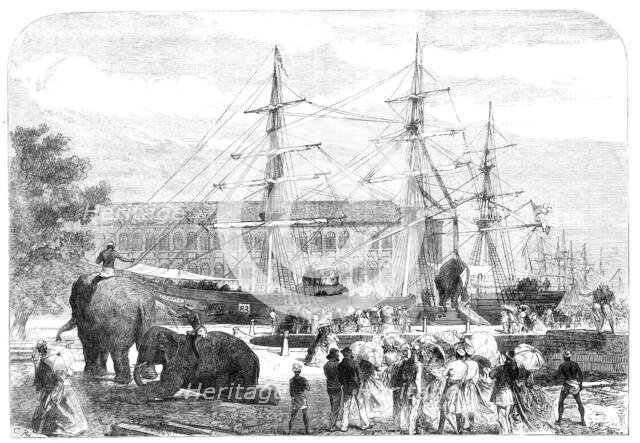 Embarking elephants at Bombay for the Abyssinian Expedition, 1868. Creator: C. R..