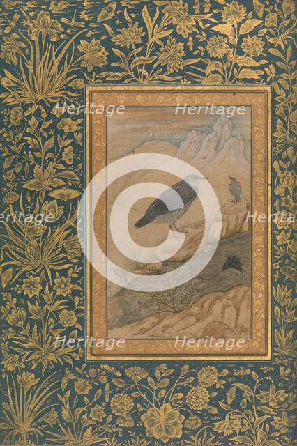 Diving Dipper and Other Birds, Folio from the Shah Jahan Album, recto: ca. 1610-15. Creator: Mansur.