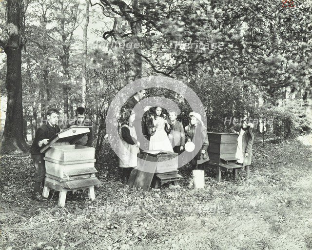 Children feeding bees for the winter, Shrewsbury House Open Air School, London, 1909. Artist: Unknown.