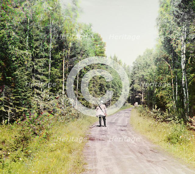 Study; in the forest near the Kivach waterfall. [Suna River], 1915. Creator: Sergey Mikhaylovich Prokudin-Gorsky.