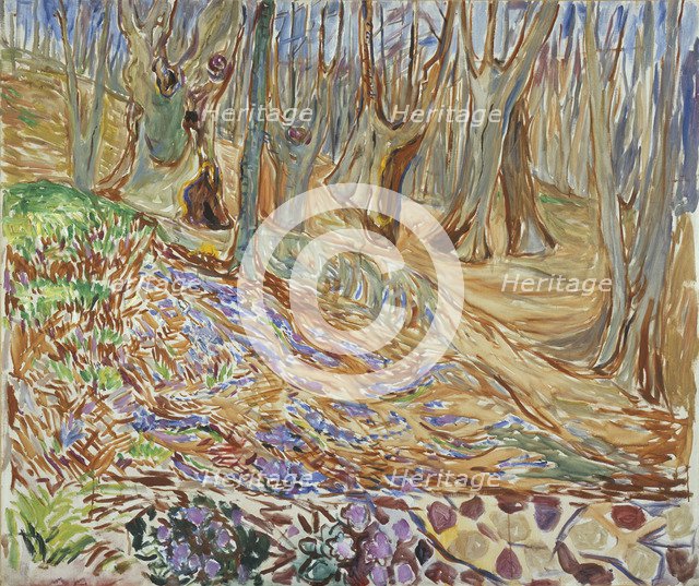 Spring in the Elm Forest.