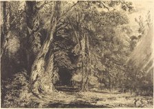 Flooding in the Forest of the Ile Séguin, c. 1833. Creator: Paul Huet.