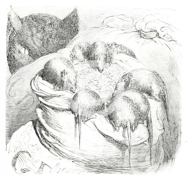 Cat watching rodents eating grain, 1860.  Creator: Unknown.