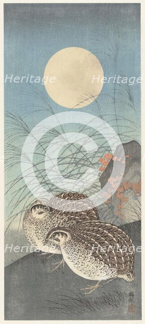 Two quail at full moon. Creator: Ohara, Koson (1877-1945).