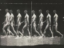 [Man Walking, "Stroboscopic" Photograph], 1880s, printed 1930s-40s., 1880s, printed 1930s-40s. Creator: Thomas Eakins.