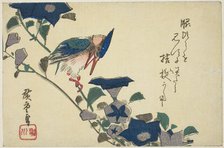 Kingfisher and bellflowers, n.d. Creator: Ando Hiroshige.