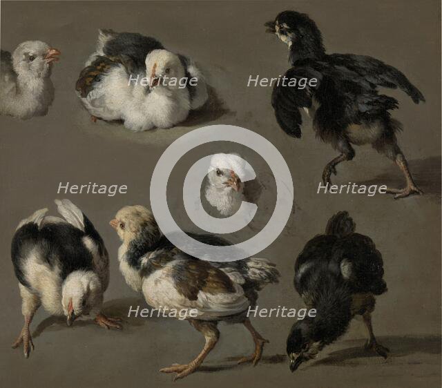 Seven Chicks, c.1665-c.1668. Creator: Melchior d'Hondecoeter.