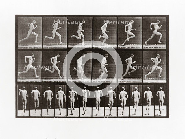 Man running, Plate 62 from Animal Locomotion, 1887 (photograph)