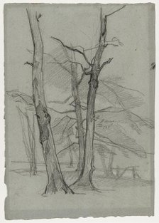 Landscape Study with Trees, c. 1870-1875. Creator: Thomas Couture (French, 1815-1879).