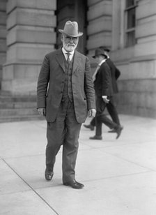 James R. Mann, Rep. from Illinois, 1913.  Creator: Harris & Ewing.