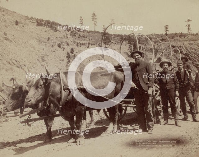 Gold Fever Prospectors going to the new Gold Field, 1889. Creator: John C. H. Grabill.