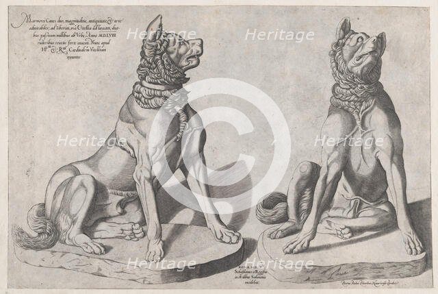 Speculum Romanae Magnificentiae: Two Dogs, 1558., 1558. Creator: Sebastiano di Re.