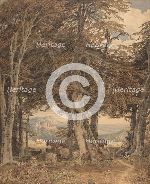 Cattle and Sheep at Resting at the Edge of a Forest, ca. 1840. Creator: George Barret the Younger.