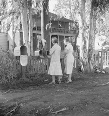 Morning mail at the Mineral King cooperative farm, FSA, Tulare County, California, 1938. Creator: Dorothea Lange.