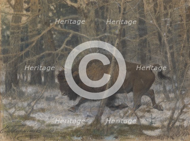 The wood bison. Artist: Tichmenev, Evgeny Alexandrovich (1869-1934)