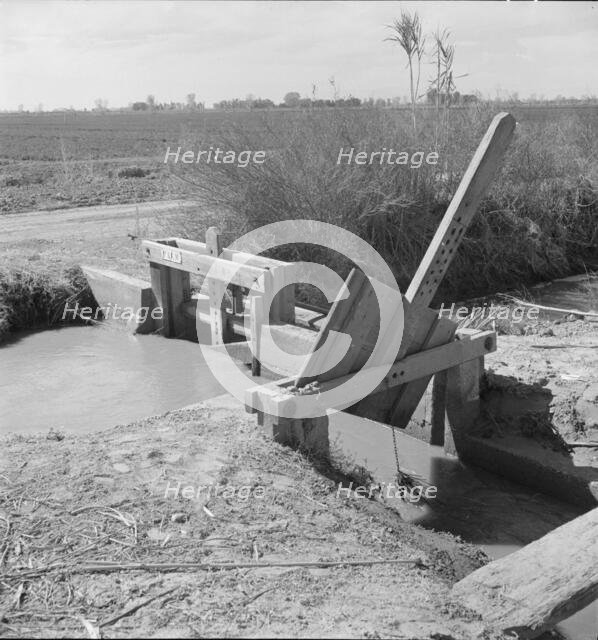 Irrigation ditch alongside the road, Imperial Valley, California, 1937. Creator: Dorothea Lange.