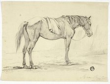 Standing Horse, n.d. Creator: Unknown.