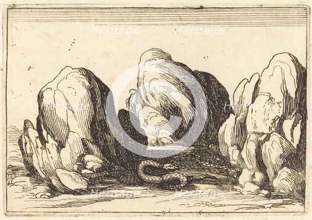 Serpent, 1628. Creator: Jacques Callot.
