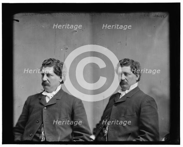 Brewer, Hon. M.S. of Mich, between 1865 and 1880. Creator: Unknown.