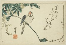 Sparrow and wisteria, n.d. Creator: Ando Hiroshige.