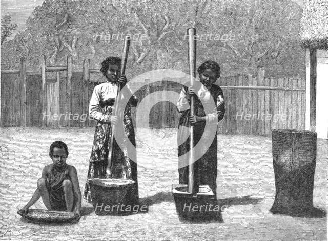 'Rice-Pounding; A Birds-eye View of Madagascar', 1875. Creator: M.D Charnay.