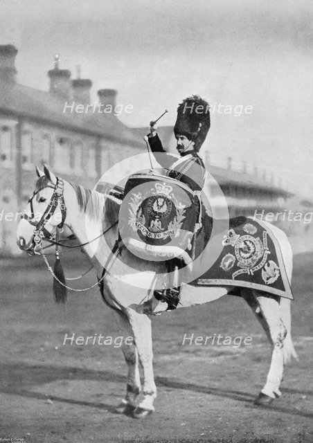 'Plum Duff', the drum-horse of the Royal Scots Greys, 1896. Artist: Gregory & Co