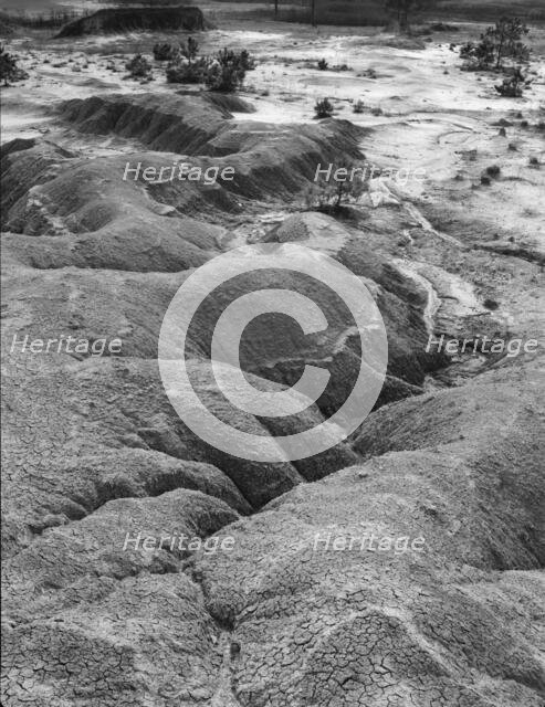 Erosion near Jackson, Mississippi, 1936. Creator: Walker Evans.
