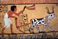 Representation of an Egyptian doing agricultural tasks, detail of a fresco from the tomb of Senne…