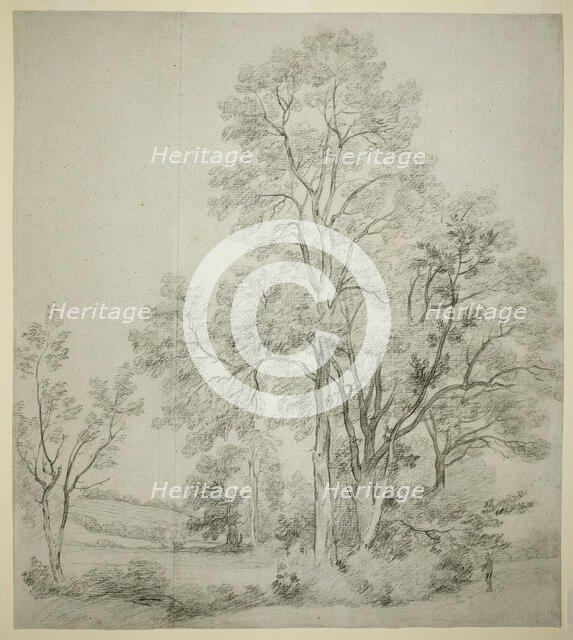 A Stand of Elm Trees (recto); A Study of East Bergholt with the Church (verso), c. 1802. Creator: John Constable.