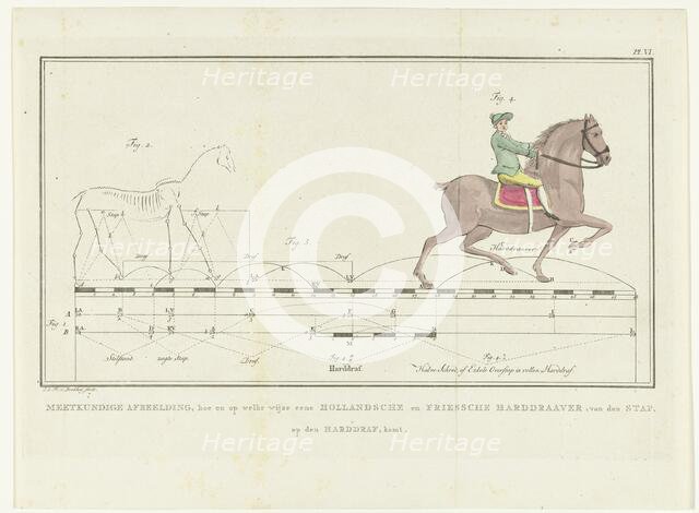 Movement of a horse from walking to trotting, with scale showing distances, 1739-1812. Creator: Johannes le Francq van Berkhey.