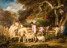 Sheep Salving, 1828. Creator: James Ward.