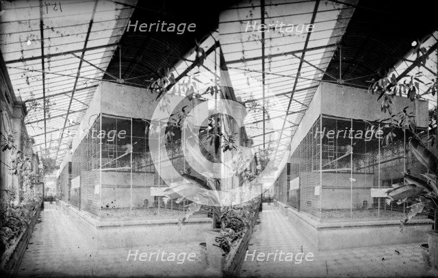 Monkey House, Zoological Gardens, Regent's Park, Westminster, London, c1870-1900. Artist: York & Son