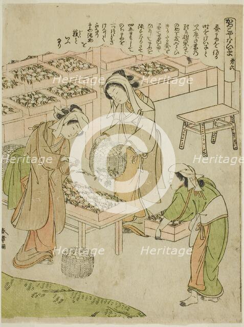 Plate 6 (Examining the Newly Spun Cocoons), from the series "Kaiko Yashinai-gusa", Japan, c. 1772. Creator: Shunsho.