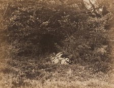 A Rock in the Forest, c. 1865. Creator: Eugène Cuvelier.