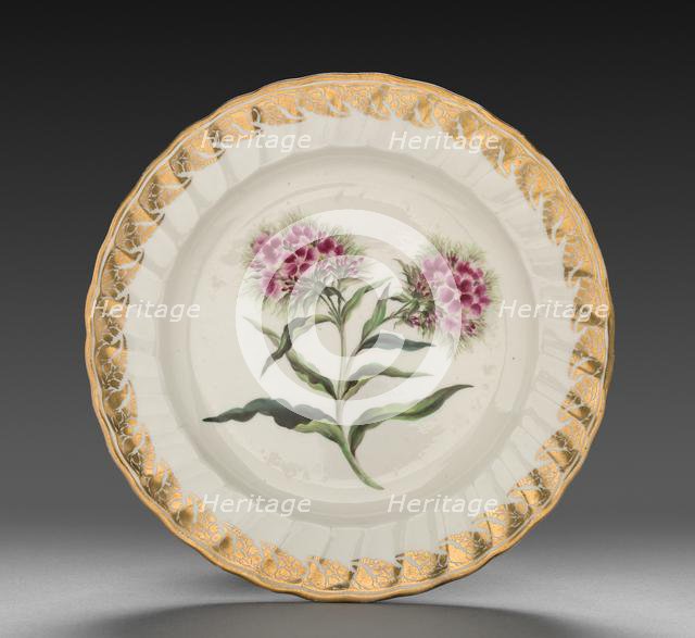 Plate from Dessert Service: Sweet William, c. 1800. Creator: Derby (Crown Derby Period) (British).