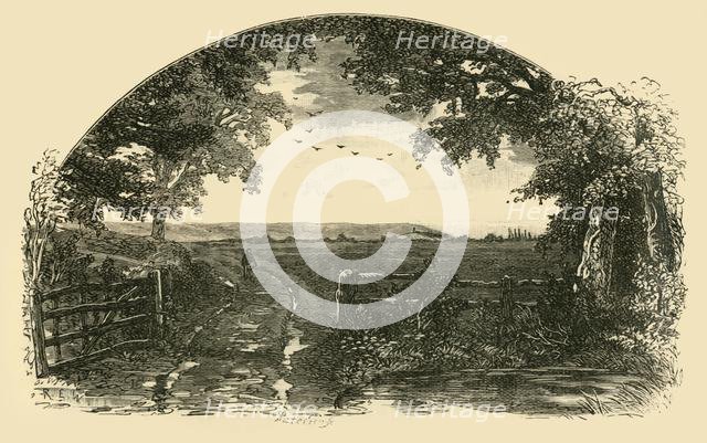 'Entrance to Sedgemoor from Chedzoy', 1898. Creator: Unknown.