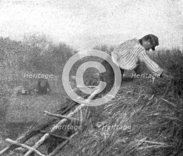 'Le front pittoresque; Villages de Paillot et Terriers a flanc de coteaux: Un "couvreur"', 1914. Creator: Unknown.