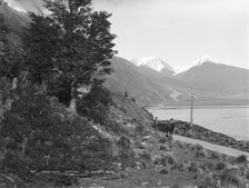 Waimakariri cutting, West Coast Road, 1880s. Creator: Burton Brothers.